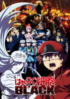 Hataraku Saibou Black (Episode 1 – 13)