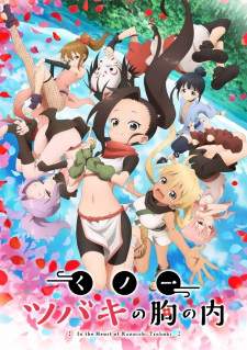 Kunoichi Tsubaki no Mune no Uchi (Episode 1 – 13)