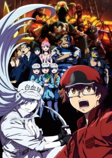 Nonton anime Hataraku Saibou Black (Episode 1 – 13) Sub Indo